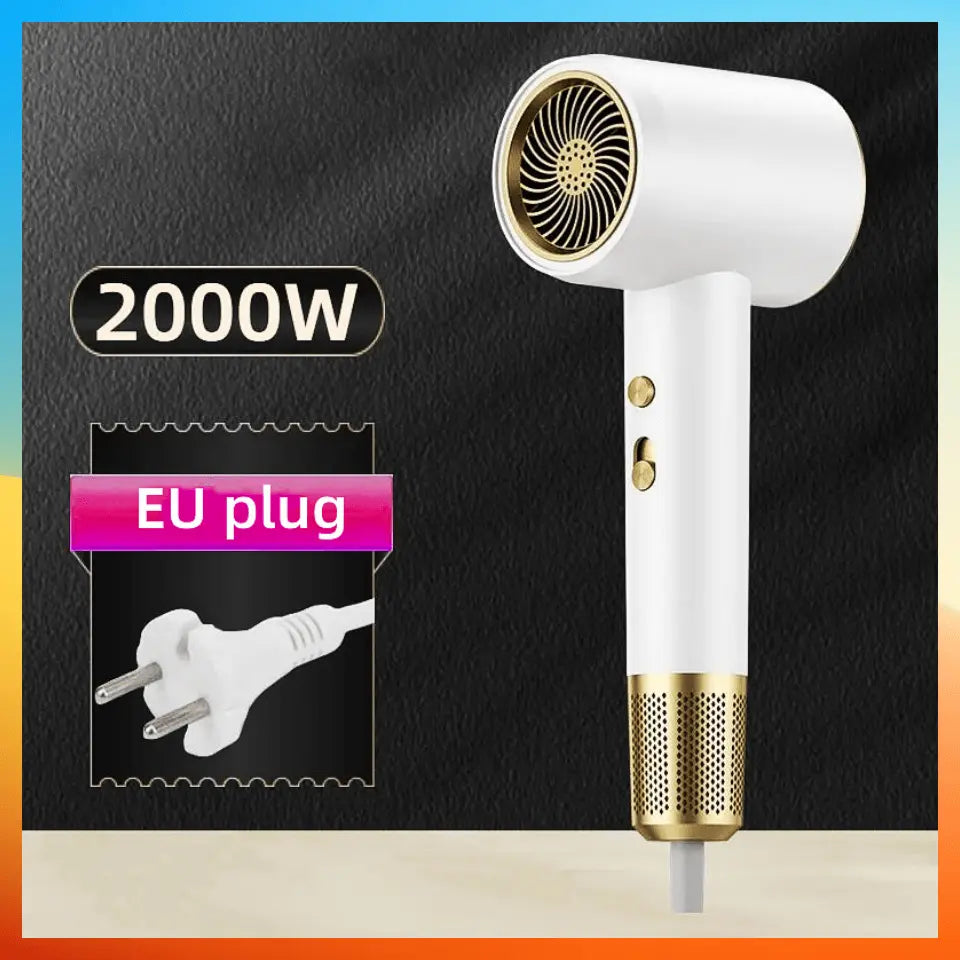 2000W Professional Hair Dryer Negative Ions Blow Dryer