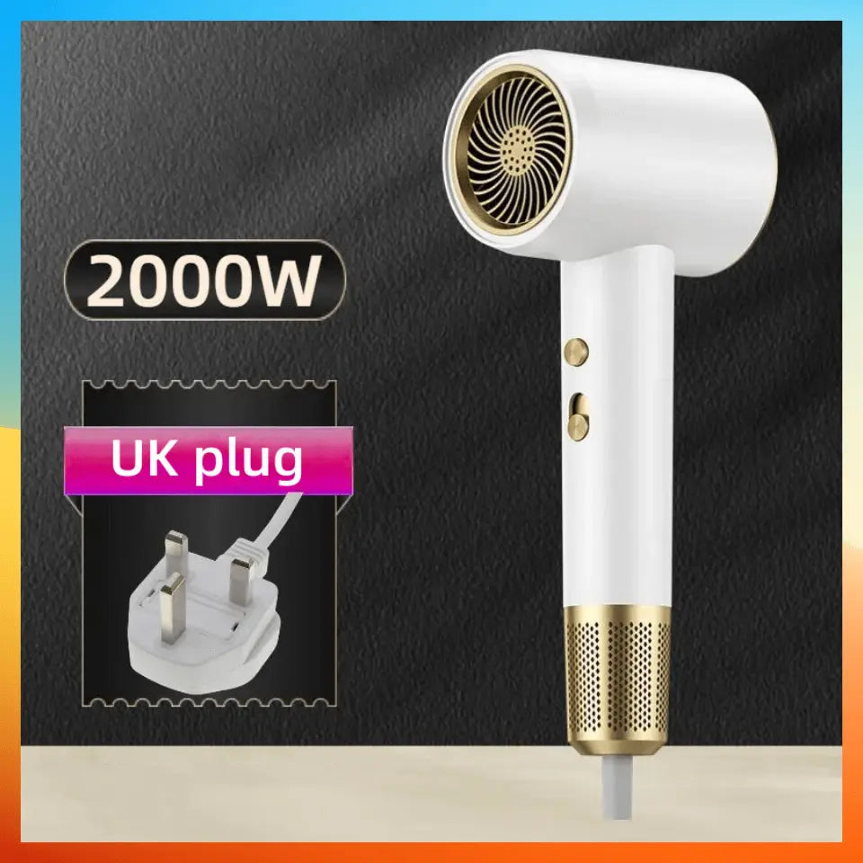 2000W Professional Hair Dryer Negative Ions Blow Dryer