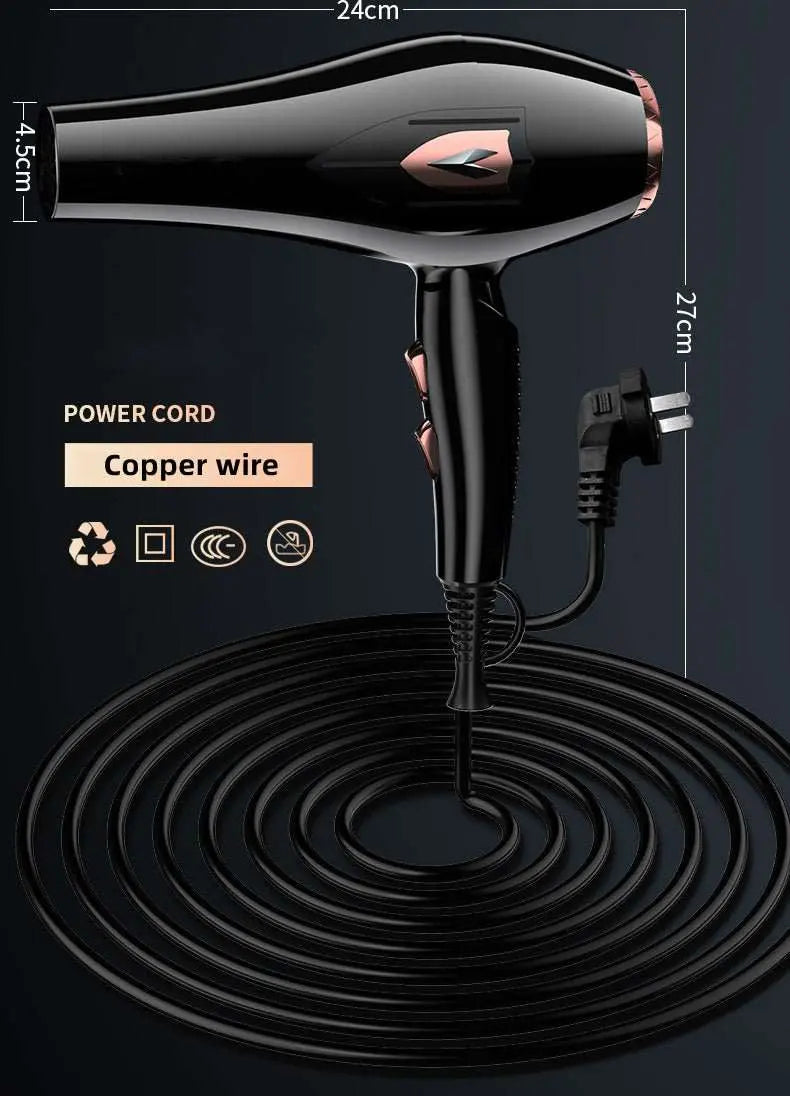 WENSTON Hair Dryer, Professional Negative Ions Blow Dryer 