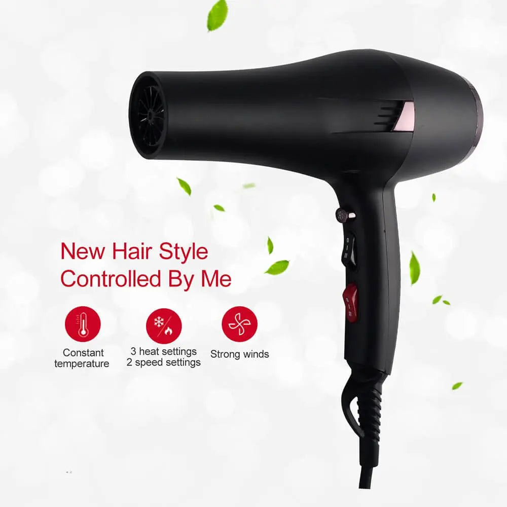 Professional Salon Hair Dryer 