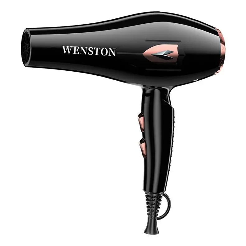 WENSTON Hair Dryer, Negative Ions Blow Dryer 