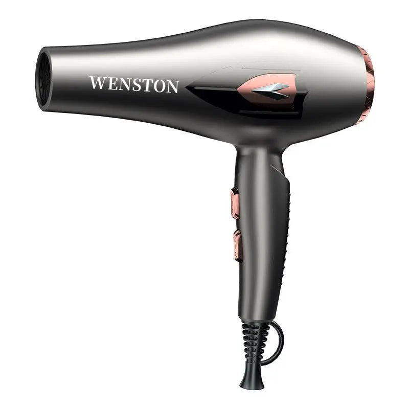 WENSTON Hair Dryer, Negative Ions Blow Dryer