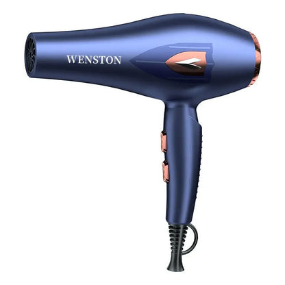 WENSTON Hair Dryer, Negative Ions Blow Dryer