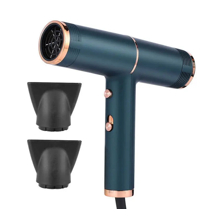 WENSTON Professional Hair Dryer